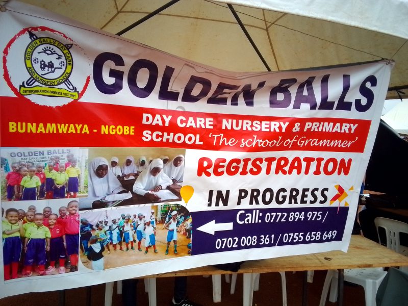 Golden balls daycare Nursery and primary schools